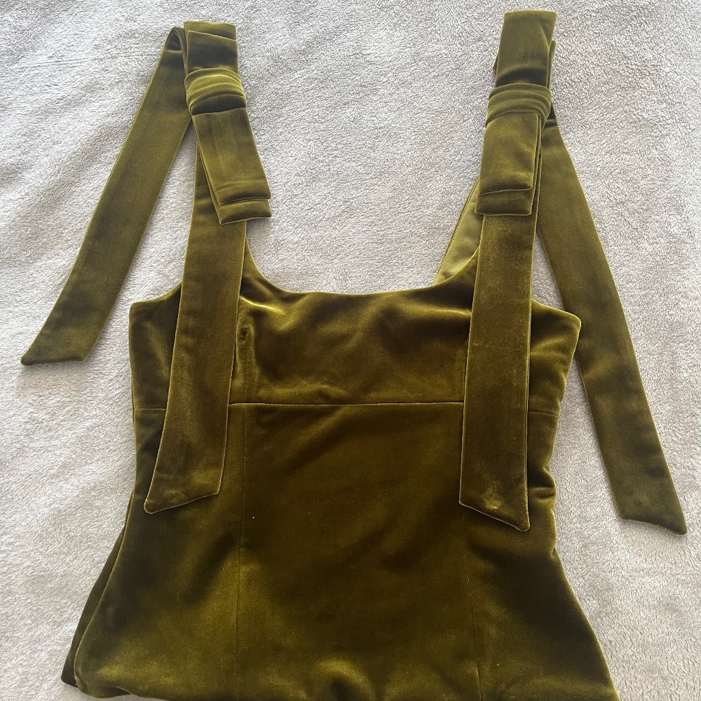Zara Velvet Green Top